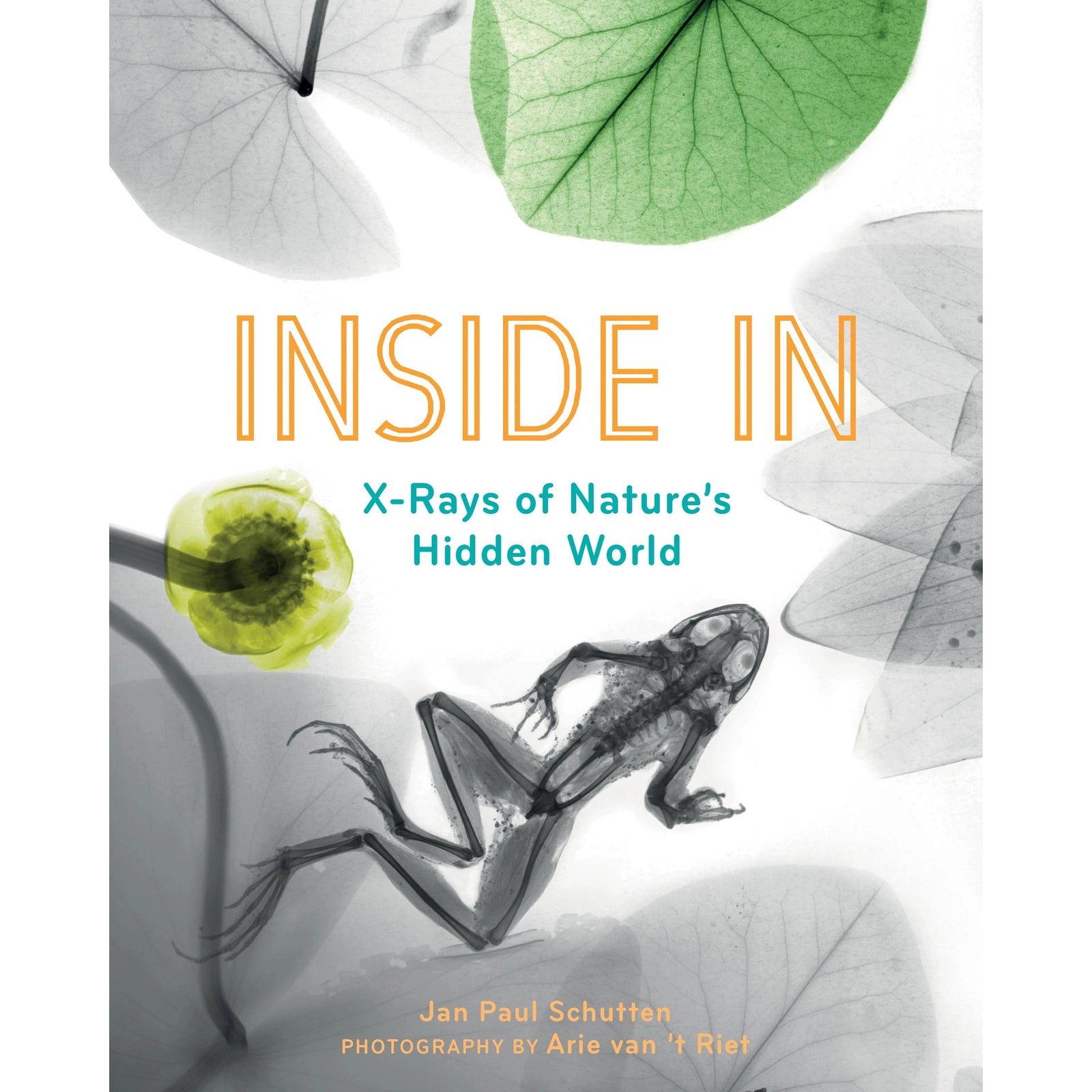 Inside In - X-Rays of Nature's Hidden World-Greystone-Modern Rascals