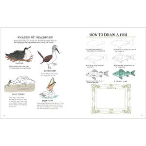 Julia Rothman's Ocean Anatomy Activity Book-Hatchette Group-Modern Rascals