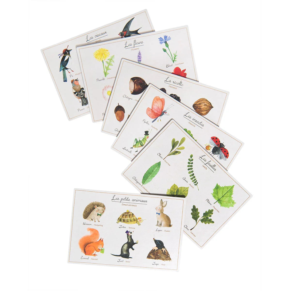 Le Botaniste - Nature Bingo Game-Moulin Roty-Modern Rascals