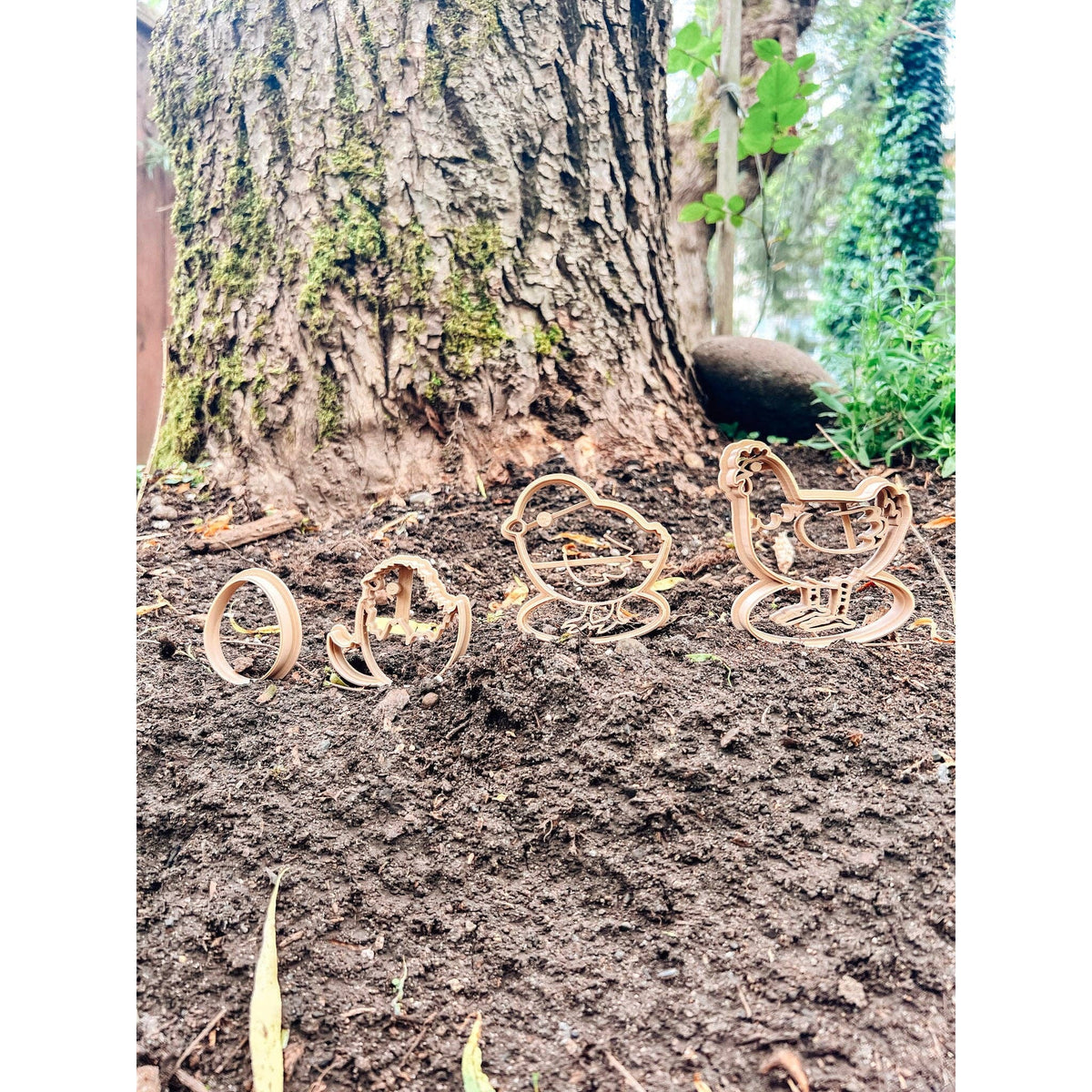 Life Cycle of a Chicken EcoCutter Collection-CJ Eco-Play-Modern Rascals