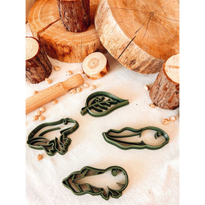 Life Cycle of a Frog Eco-Cutter Collection-CJ Eco-Play-Modern Rascals