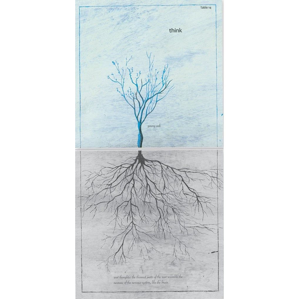 Like a Tree-Penguin Random House-Modern Rascals