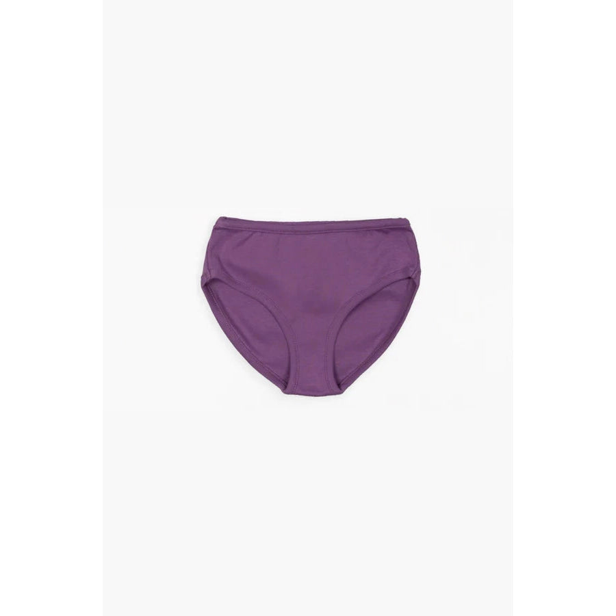 Lilac Briefs - 2 Left Size 8-10 years-Elementaire Paris-Modern Rascals
