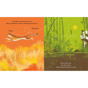 Little Dandelion Seeds the World-Firefly Books-Modern Rascals