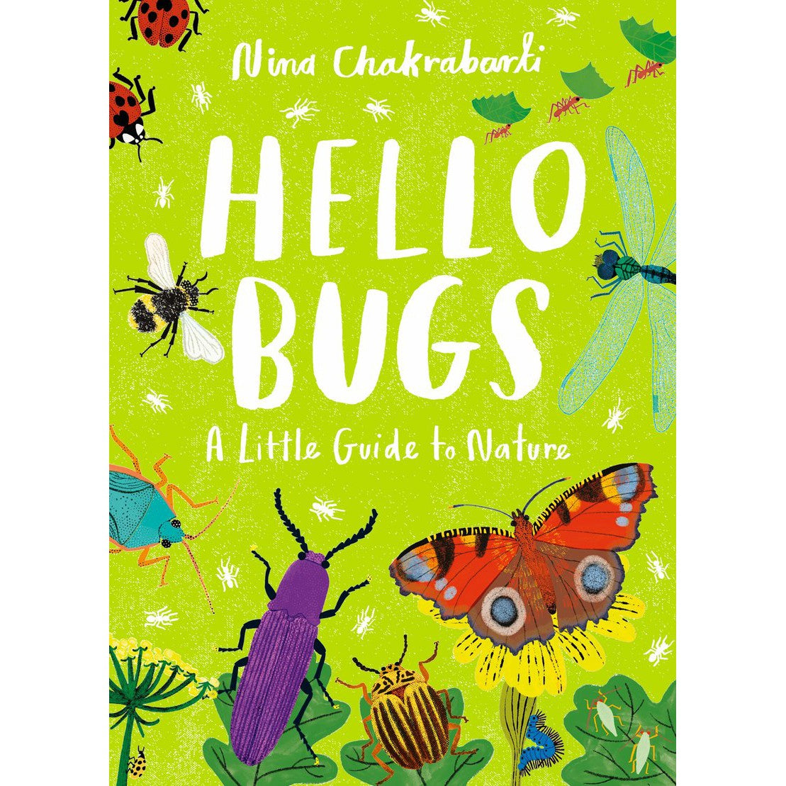 Little Guides To Nature: Hello Bugs-Raincoast Books-Modern Rascals