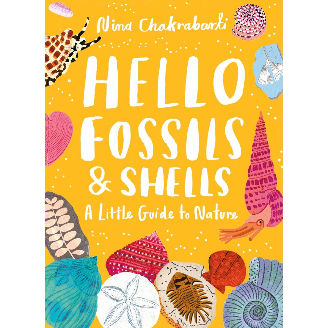 Little Guides To Nature: Hello Fossils and Shells-Raincoast Books-Modern Rascals