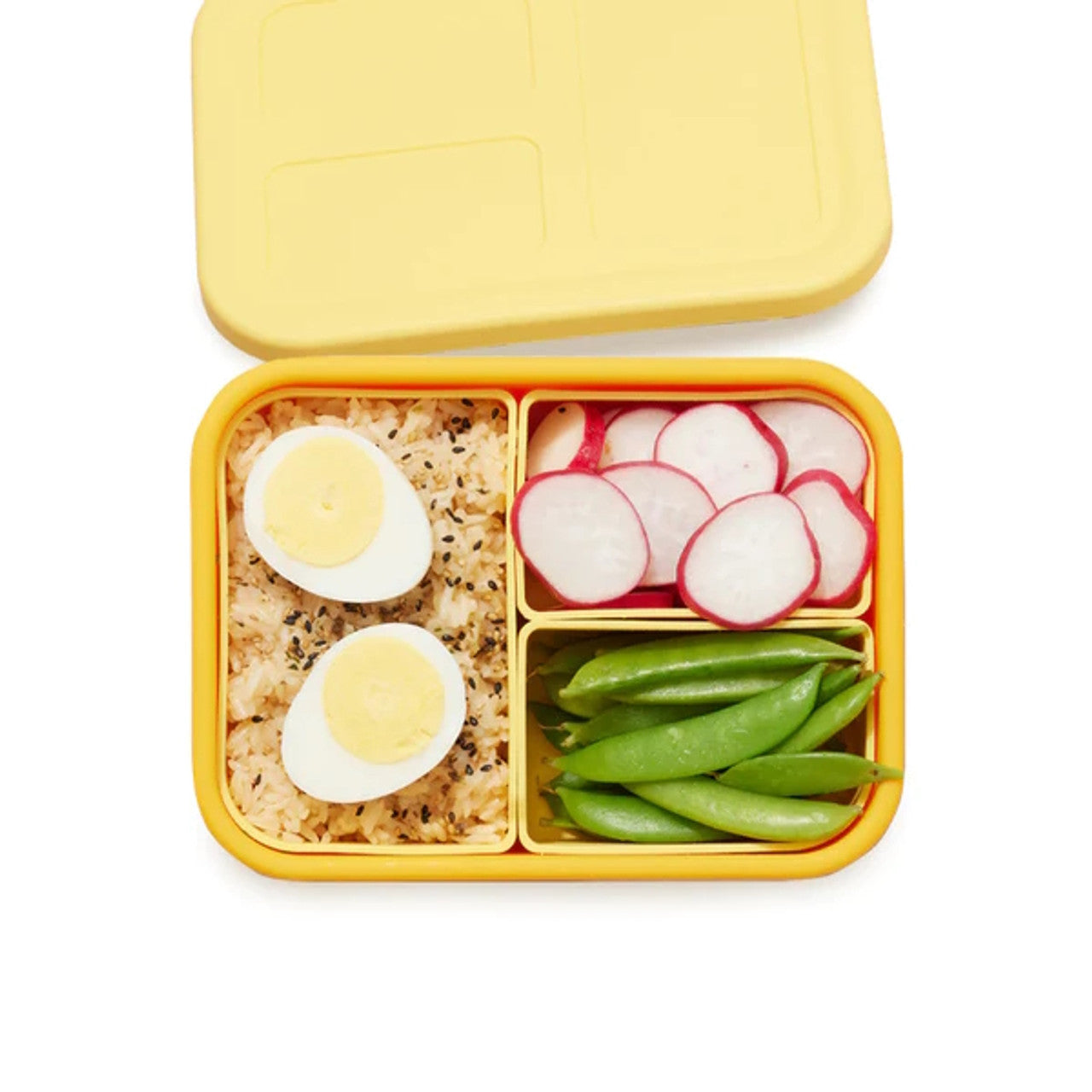 LunchBots - Medium Build-A-Bento Box | Mapamundi Kids Coral Reef