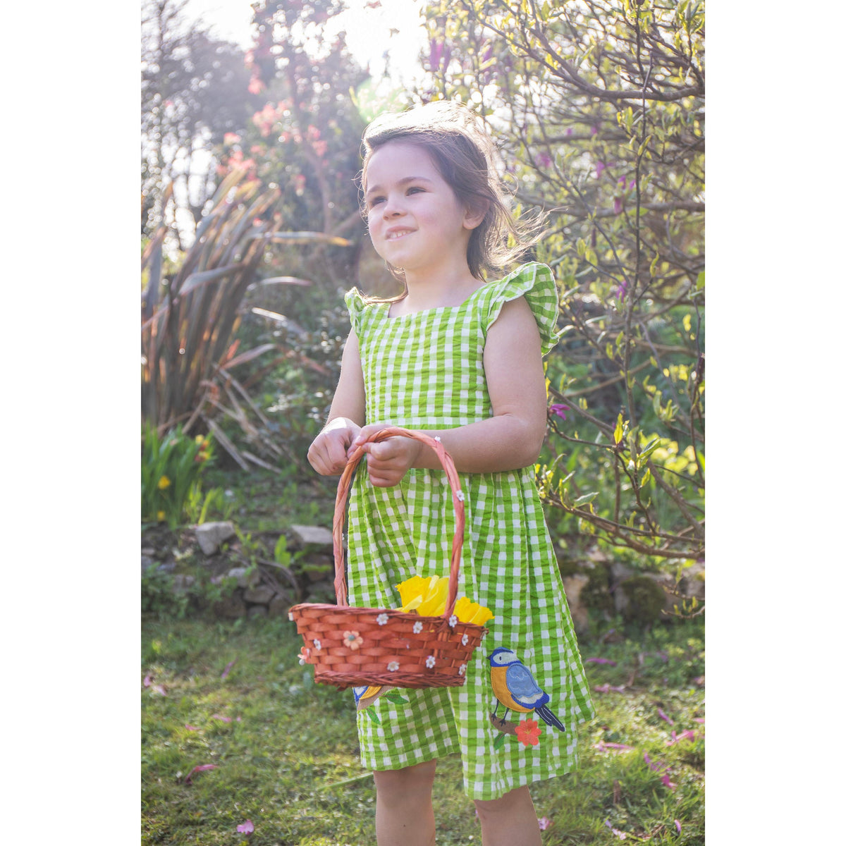 Macaw / Gingham Birds Zaria Dress-Frugi-Modern Rascals