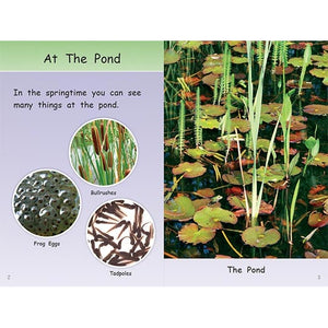 Making A Paper Pond-Strong Nations Publishing-Modern Rascals