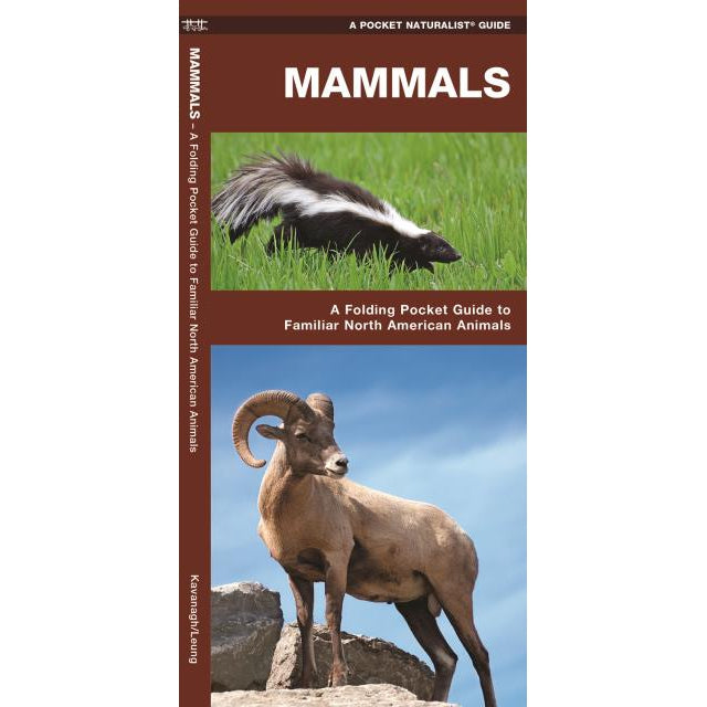 Mammals: A Folding Pocket Guide to Familiar North American Animals-National Book Network-Modern Rascals