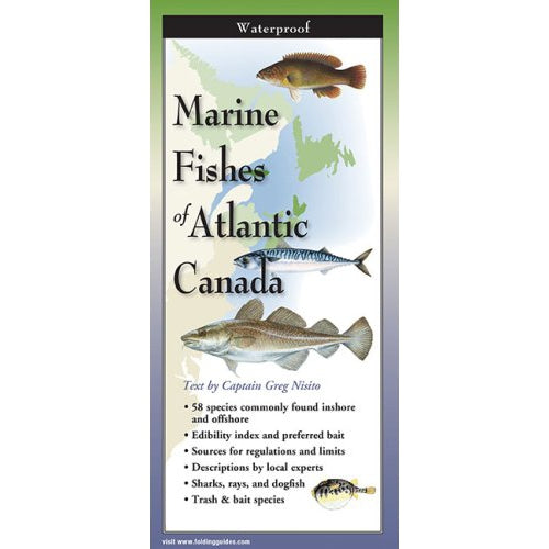 Marine Fishes of Atlantic Canada - Folding Guide-Nimbus Publishing-Modern Rascals