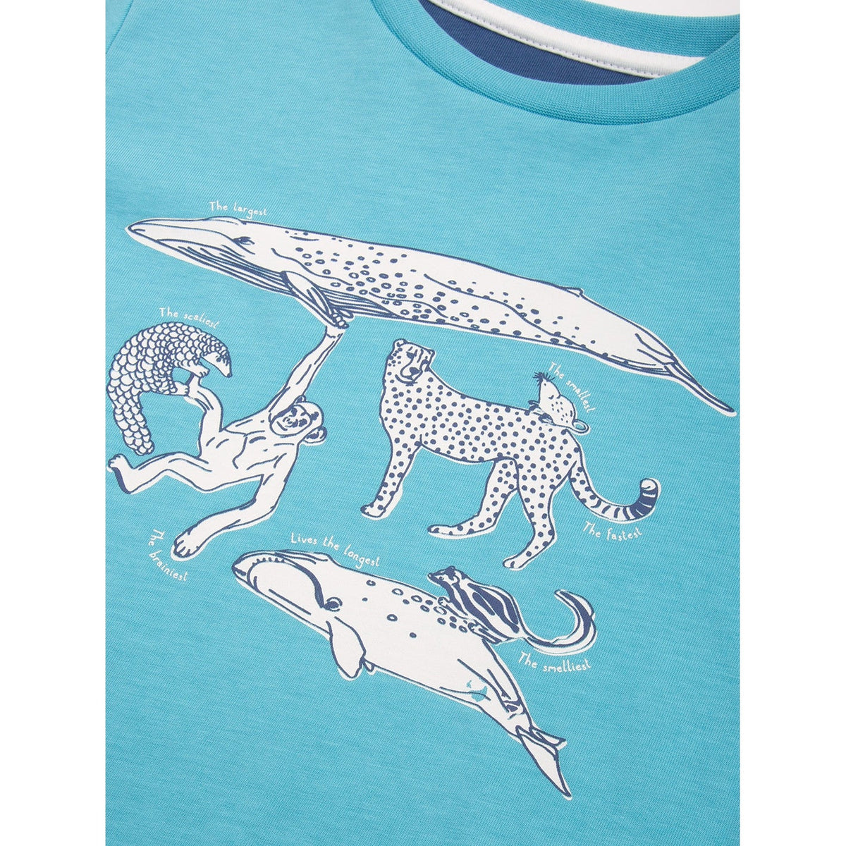 Marvellous Mammals Long Sleeve Shirt - 1 Left Size 4-5 years-Kite-Modern Rascals