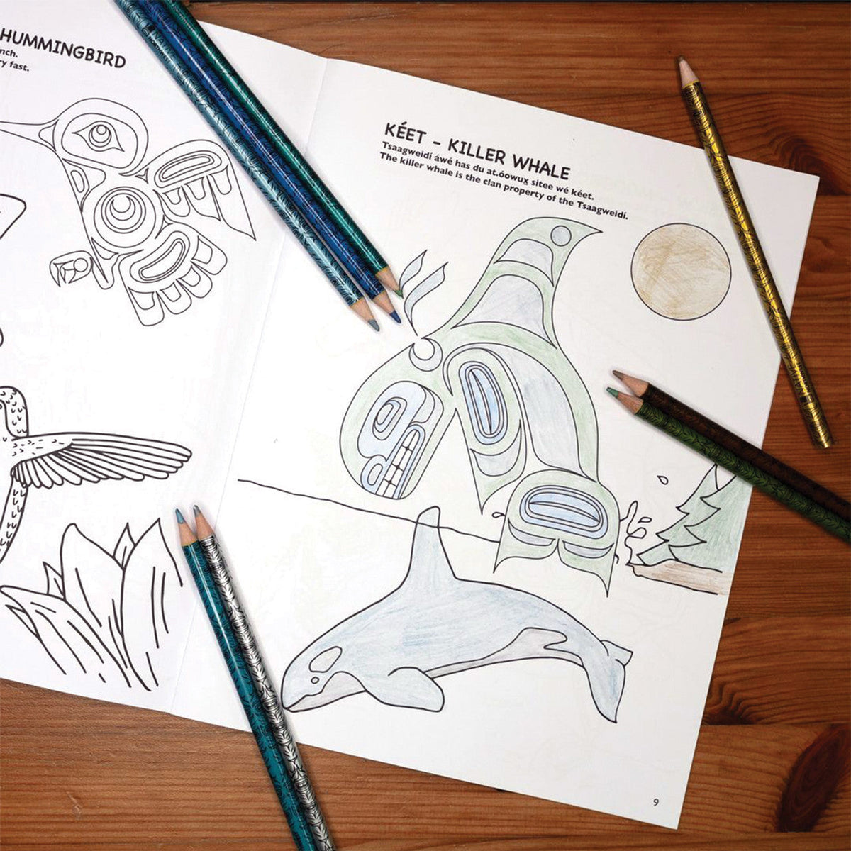 Metallic Coloured Pencils - Feather by Simone Diamond (Coast Salish)-Native Northwest-Modern Rascals