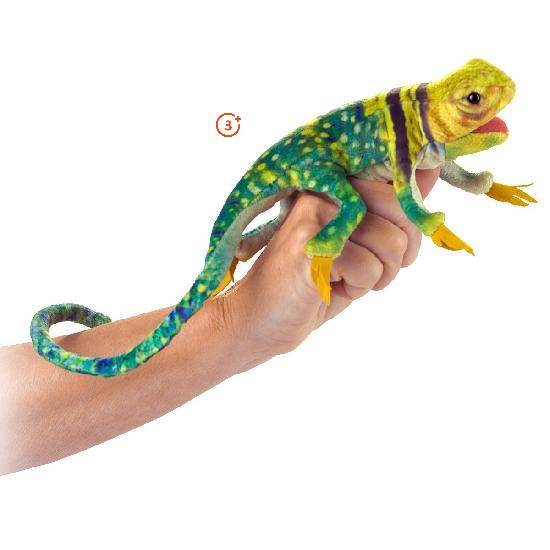 Mini Collared Lizard Finger Puppet-Folkmanis Puppets-Modern Rascals