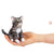 Mini Tabby Cat Finger Puppet-Folkmanis Puppets-Modern Rascals