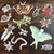 Minibeasts - Set of 13 Matte Stickers-Stephanie Hathaway Designs-Modern Rascals