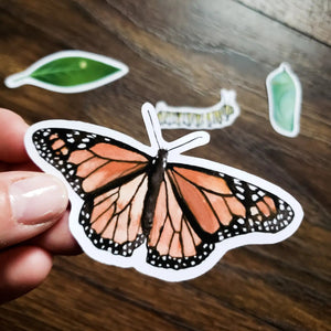 Monarch Lifecycle - Set of 4 Matte Stickers-Stephanie Hathaway Designs-Modern Rascals