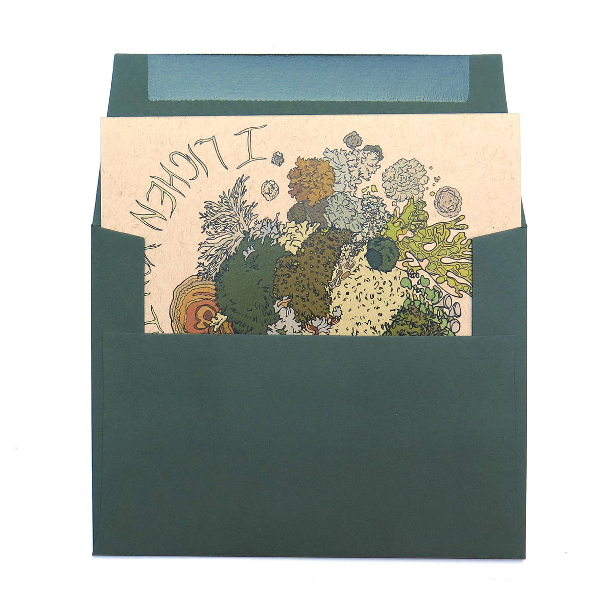 Moss and Lichen Card-Wild Life Illustration Co.-Modern Rascals