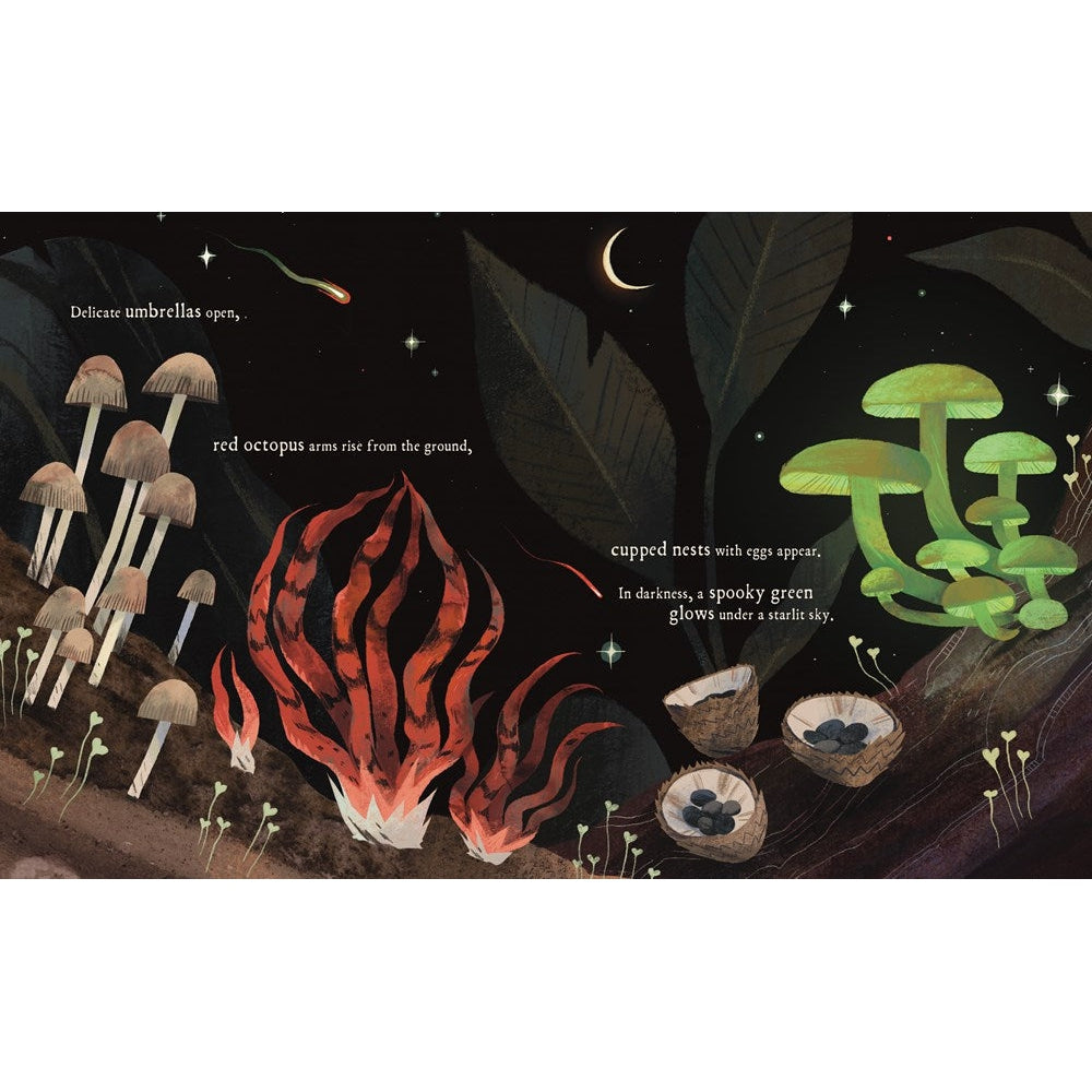 Mushroom Rain-Raincoast Books-Modern Rascals