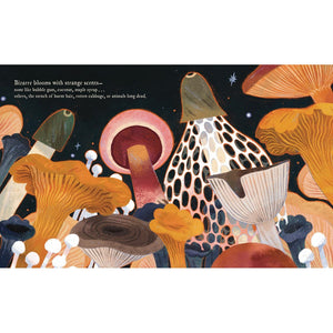 Mushroom Rain-Raincoast Books-Modern Rascals