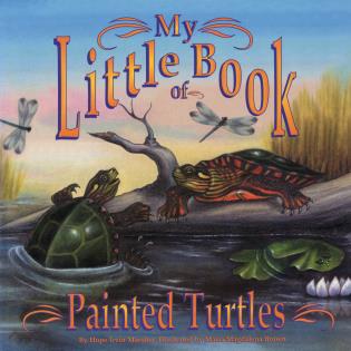 My Little Book of Painted Turtles-National Book Network-Modern Rascals