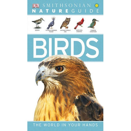 Nature Guide - Birds-Penguin Random House-Modern Rascals
