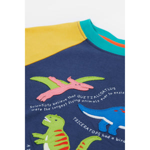 Navy Blue / Dino Renny Raglan T-Shirt - 2 Left Size 6-7 & 9-10 years-Frugi-Modern Rascals