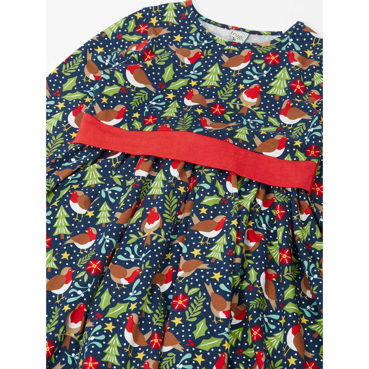 Navy/Robin Party Skater Dress-Frugi-Modern Rascals