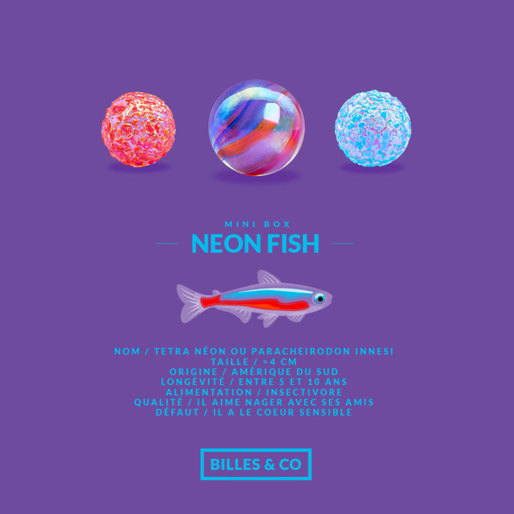 Neon Fish Marbles - Mini Box by Billes and Co - Modern Rascals