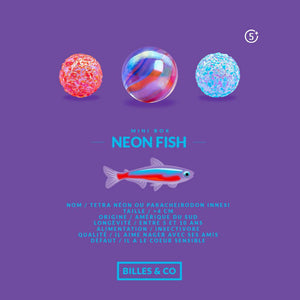 Neon Fish Marbles - Mini Box-Billes and Co-Modern Rascals