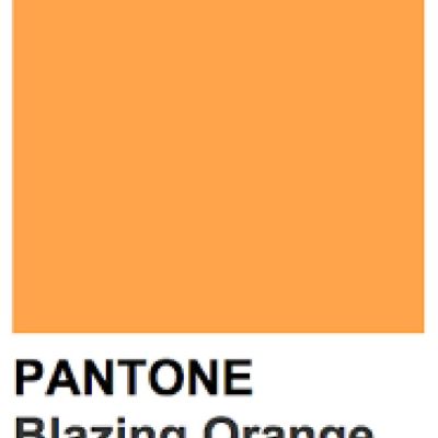 Orange Long Sleeve Shirt-More Than A Fling-Modern Rascals