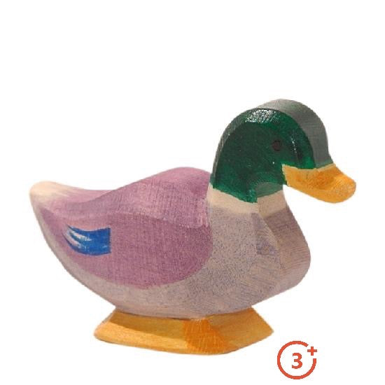Ostheimer Drake (Male Mallard Duck)-Ostheimer-Modern Rascals