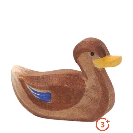 Ostheimer Duck - Swimming-Ostheimer-Modern Rascals
