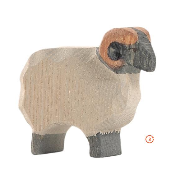 Ostheimer Moorland Ram-Ostheimer-Modern Rascals
