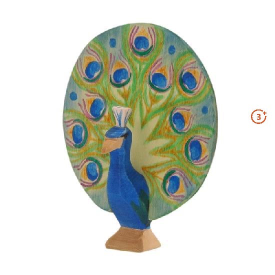 Ostheimer Peacock - Open-Ostheimer-Modern Rascals