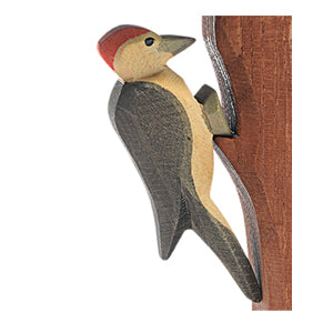 Ostheimer Woodpecker-Ostheimer-Modern Rascals