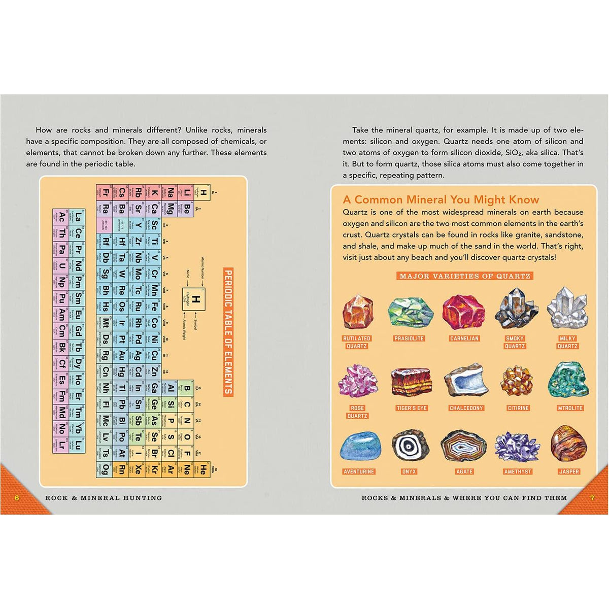 Outdoor School: Rock, Fossil, and Shell Hunting-Raincoast Books-Modern Rascals