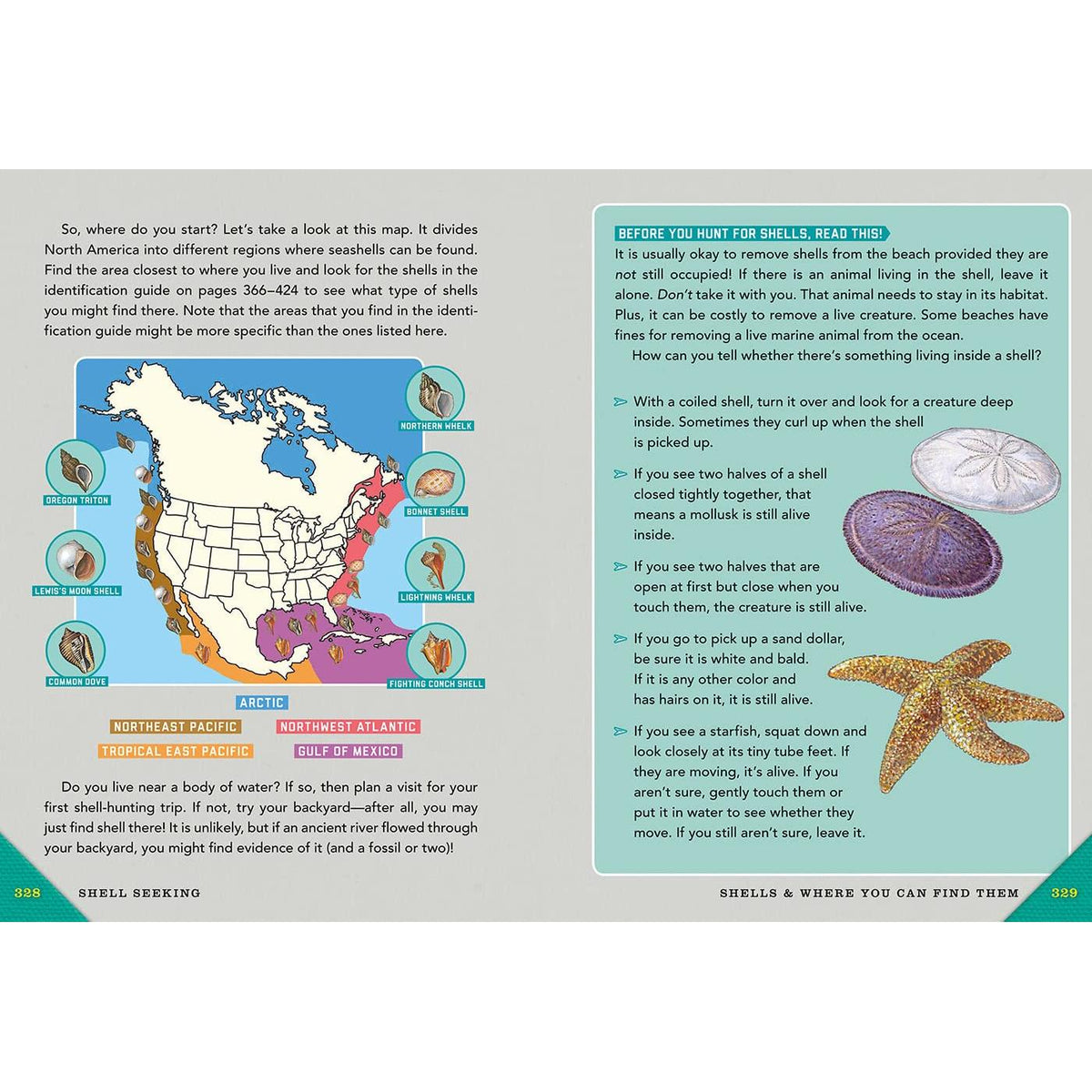 Outdoor School: Rock, Fossil, and Shell Hunting-Raincoast Books-Modern Rascals