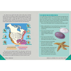 Outdoor School: Rock, Fossil, and Shell Hunting-Raincoast Books-Modern Rascals