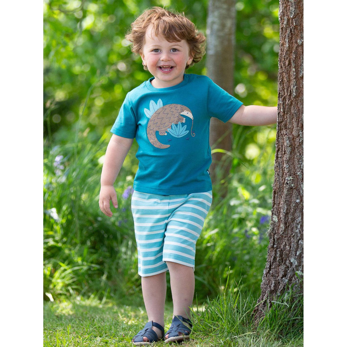 Pangolin T-Shirt - 1 Left Size 3-4 years-Kite-Modern Rascals