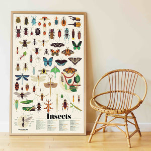 Poppik Discovery Poster - Insects-Poppik-Modern Rascals