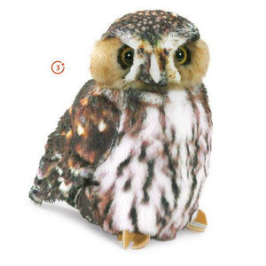 Pygmy Owl Puppet-Folkmanis Puppets-Modern Rascals