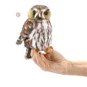 Pygmy Owl Puppet-Folkmanis Puppets-Modern Rascals