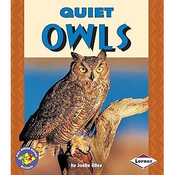 Quiet Owls-Warehouse Find-Modern Rascals