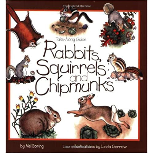 Rabbits, Squirrels, and Chipmunks: Take-Along Guide-National Book Network-Modern Rascals