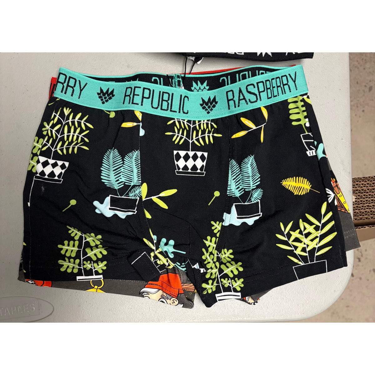Raspberry Republic Set of 3 Boxers - Size 9-11 Years (146cm)-Warehouse Find-Modern Rascals