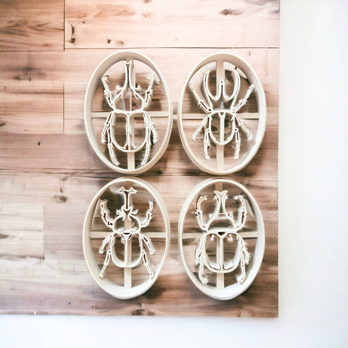 Rhino Beetle || Insect || Bug EcoCutter Collection-CJ Eco-Play-Modern Rascals