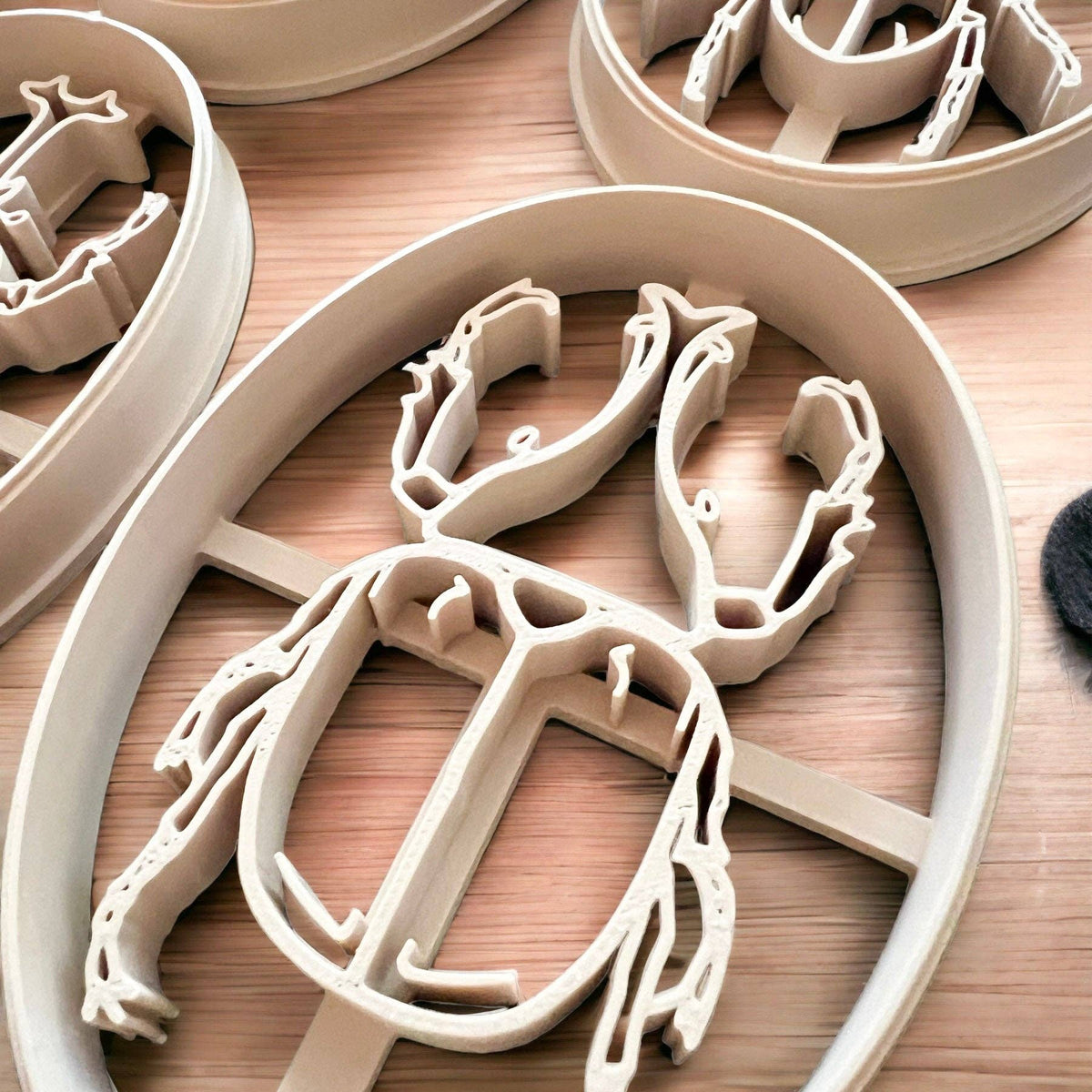 Rhino Beetle || Insect || Bug EcoCutter Collection-CJ Eco-Play-Modern Rascals