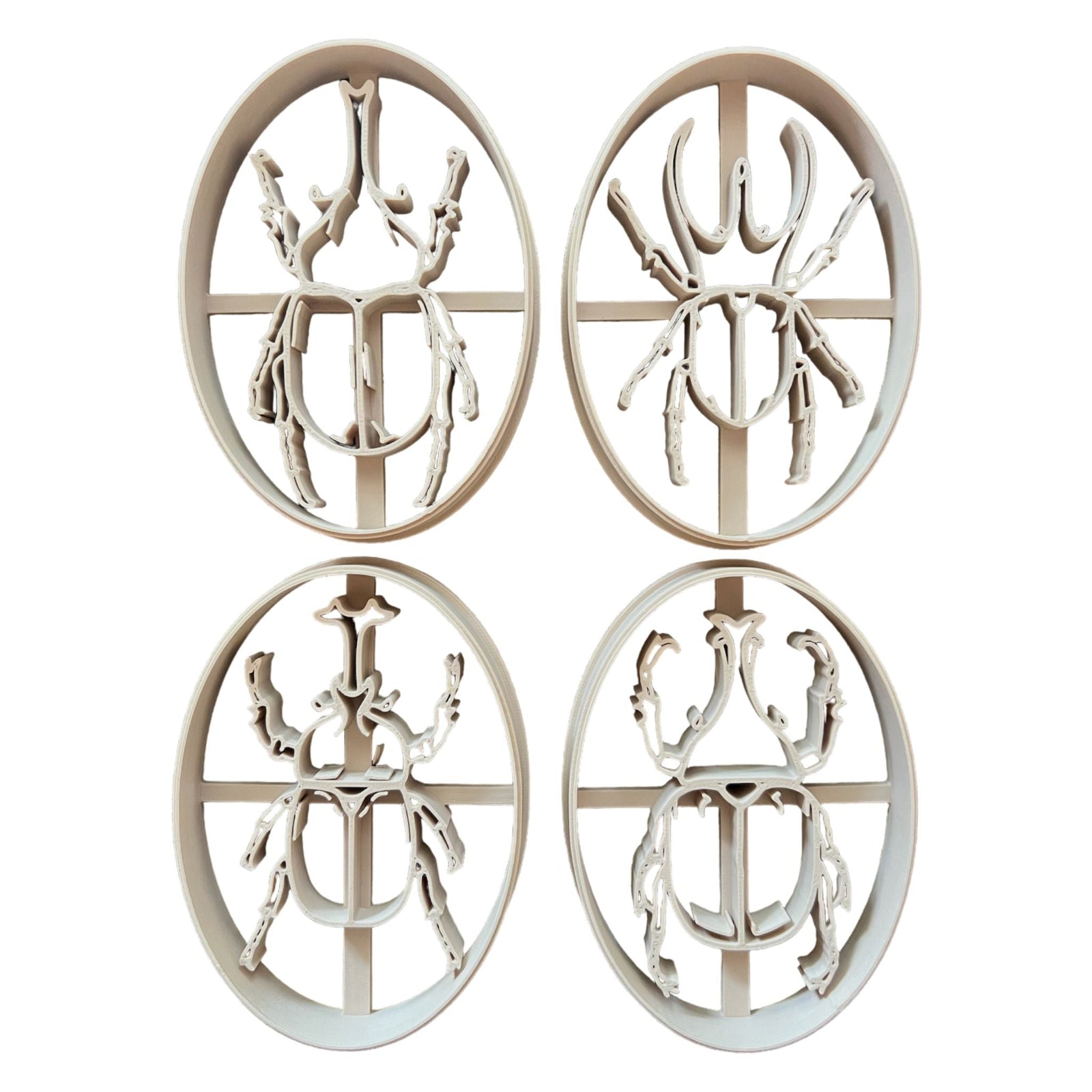 Rhino Beetle || Insect || Bug EcoCutter Collection-CJ Eco-Play-Modern Rascals