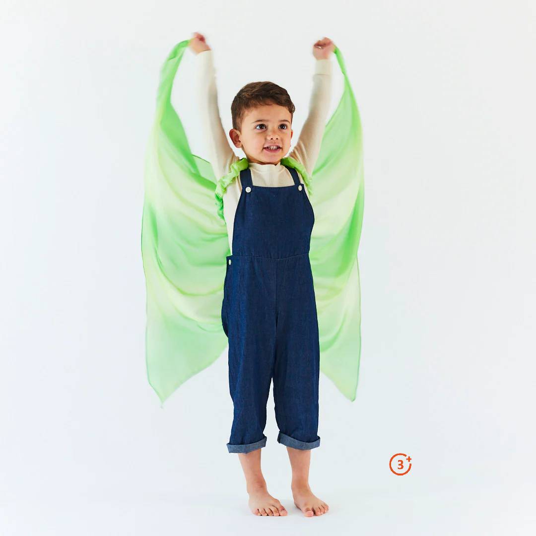 Sarah's Silks Fairy Wings - Willow In The Wind Wings-Sarah's Silks-Modern Rascals